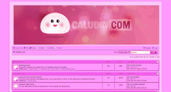 Desktop Screenshot of caludin.com