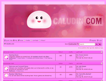 Tablet Screenshot of caludin.com